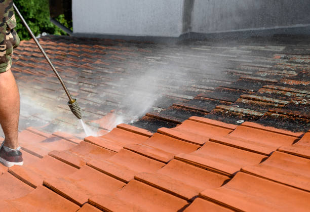 Fence Pressure Washing in Vamo, FL