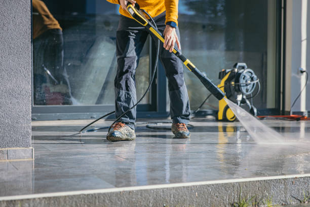 Best Roof Pressure Washing  in Vamo, FL