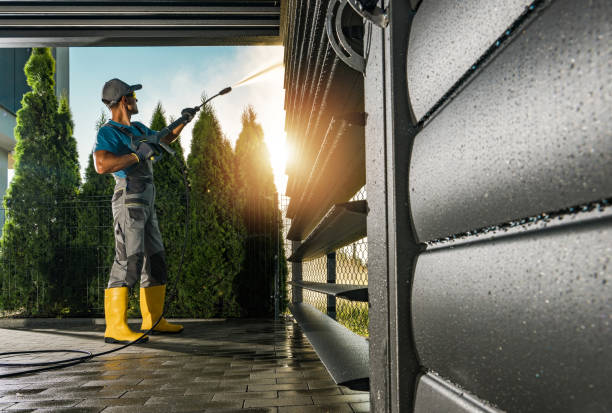 Professional Pressure Washing in Vamo, FL