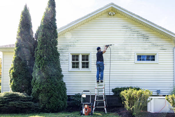Best Fence Pressure Washing  in Vamo, FL