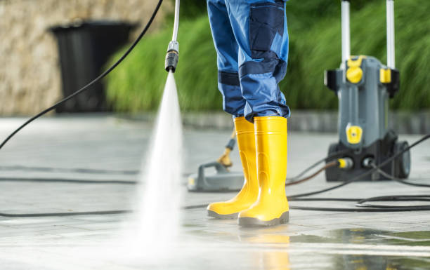 Best Local Pressure Washing Services  in Vamo, FL