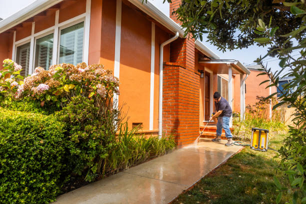 Best Deck Pressure Washing  in Vamo, FL