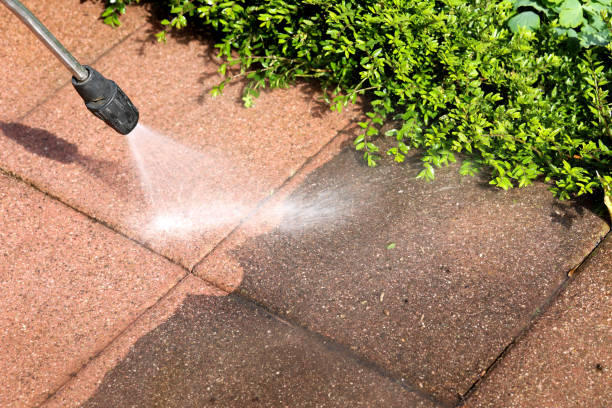 Best Sidewalk Pressure Washing  in Vamo, FL