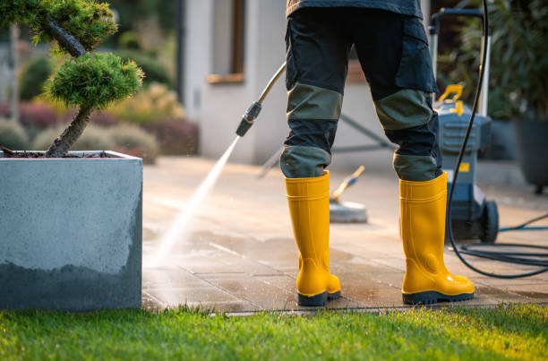 Local Pressure Washing Services in Vamo, FL